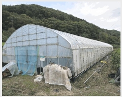  2025Ÿ��22052 �泲 �뿵�� ����� ������ 498-2      ����(��)���