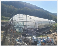  2025Ÿ��22052 �泲 �뿵�� ����� ������ 498-2      ����(��)���