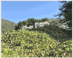  2025Ÿ��22125 �泲 ������ �Ͽ�� ��ġ�� 35-14      ����(��1)���