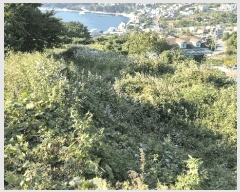  2025Ÿ��22125 �泲 ������ �Ͽ�� ��ġ�� 35-14      ����(��1)���