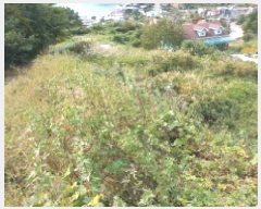  2025Ÿ��22125 �泲 ������ �Ͽ�� ��ġ�� 35-14      ����(��1)���