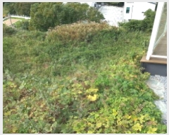  2025Ÿ��22125 �泲 ������ �Ͽ�� ��ġ�� 35-14      ����(��1)���