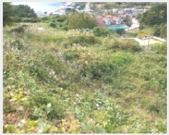  2025Ÿ��22125 �泲 ������ �Ͽ�� ��ġ�� 35-14      ����(��1)���