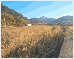  2025Ÿ��22205 �泲 ������ ���θ� ���Ḯ 378-12      ����(��)���