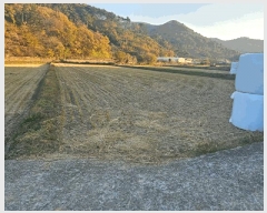  2025Ÿ��22205 �泲 ������ ���θ� ���Ḯ 378-12      ����(��)���