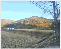  2025Ÿ��22205 �泲 ������ ���θ� ���Ḯ 378-12      ����(��)���