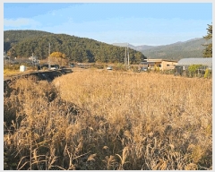  2025Ÿ��22205 �泲 ������ ���θ� ���Ḯ 378-12      ����(��)���