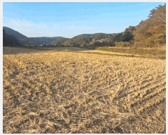  2025Ÿ��22205 �泲 ������ ���θ� ���Ḯ 378-12      ����(��)���