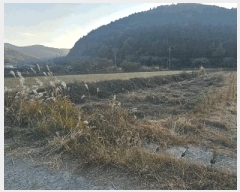  2025Ÿ��22205 �泲 ������ ���θ� ���Ḯ 378-12      ����(��)���