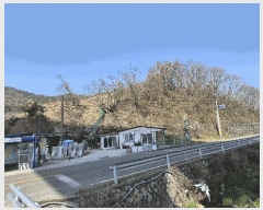  2025Ÿ430 泲   Ҹ 130-11      (Ӿ)