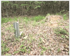  2025Ÿ��462 �泲 ������ ������ ���긮 ��29-2      ����(�Ӿ�)���