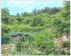  2025Ÿ��462 �泲 ������ ������ ���긮 ��29-2      ����(�Ӿ�)���