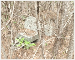  2025Ÿ��462 �泲 ������ ������ ���긮 ��29-2      ����(�Ӿ�)���