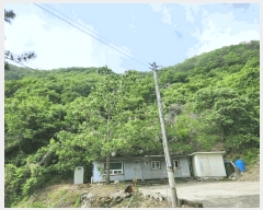  2025Ÿ470 泲    224      (Ӿ)