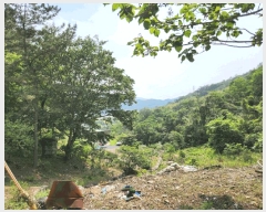  2025Ÿ470 泲    224      (Ӿ)