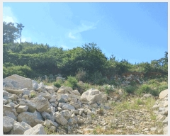  2025Ÿ��511 �泲 ������ �Ͽ�� �ҵ��� ��49      ����(�Ӿ�)���