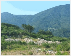  2025Ÿ��511 �泲 ������ �Ͽ�� �ҵ��� ��49      ����(�Ӿ�)���