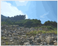  2025Ÿ��511 �泲 ������ �Ͽ�� �ҵ��� ��49      ����(�Ӿ�)���