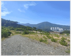  2025Ÿ��511 �泲 ������ �Ͽ�� �ҵ��� ��49      ����(�Ӿ�)���