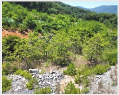  2025Ÿ��511 �泲 ������ �Ͽ�� �ҵ��� ��49      ����(�Ӿ�)���