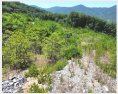  2025Ÿ��511 �泲 ������ �Ͽ�� �ҵ��� ��49      ����(�Ӿ�)���