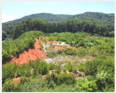  2025Ÿ��511 �泲 ������ �Ͽ�� �ҵ��� ��49      ����(�Ӿ�)���