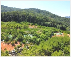  2025Ÿ��511 �泲 ������ �Ͽ�� �ҵ��� ��49      ����(�Ӿ�)���