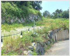  2025Ÿ��518  ����