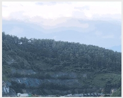  2025Ÿ��551  �Ӿ߰��