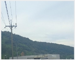  2025Ÿ��551  �Ӿ߰��