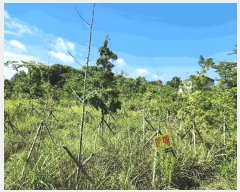  2025Ÿ��566 �泲 ������ ������ �ſ��� ��136      ����(�Ӿ�)���