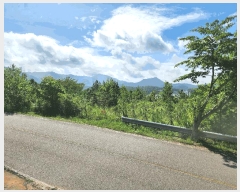  2025Ÿ��566 �泲 ������ ������ �ſ��� ��136      ����(�Ӿ�)���