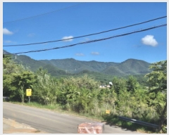  2025Ÿ��566 �泲 ������ ������ �ſ��� ��136      ����(�Ӿ�)���