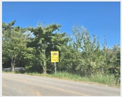  2025Ÿ��566 �泲 ������ ������ �ſ��� ��136      ����(�Ӿ�)���