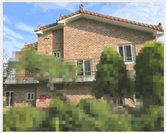  2025Ÿ��584  ���ð��