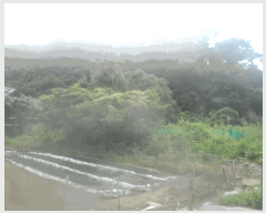  2025Ÿ��591  �������