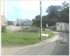  2025Ÿ��591  �������