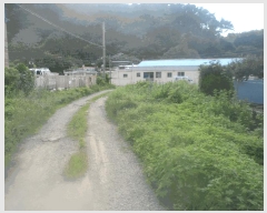  2025Ÿ��591  �������