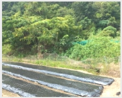  2025Ÿ��591  �������