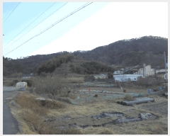  2025Ÿ21018 泲    248      ()