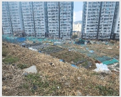  2025Ÿ��21073 �泲 ������ ���ֵ� 1201-4       ����(��)���