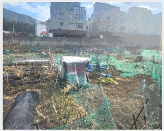  2025Ÿ��21073 �泲 ������ ���ֵ� 1201-4       ����(��)���