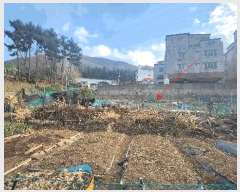  2025Ÿ��21073 �泲 ������ ���ֵ� 1201-4       ����(��)���