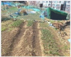  2025Ÿ��21073 �泲 ������ ���ֵ� 1201-4       ����(��)���