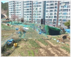  2025Ÿ��21073 �泲 ������ ���ֵ� 1201-4       ����(��)���