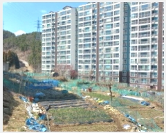  2025Ÿ��21073 �泲 ������ ���ֵ� 1201-4       ����(��)���