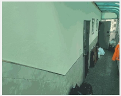  2025Ÿ21137 泲   647-37       ٰð