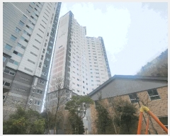  2025Ÿ��21178 �泲 ������ ���ʸ� ���丮 1238 �����ϼ������� 104�� 20��2001ȣ   ����Ʈ���