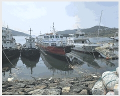  2025Ÿ21193           ڰ