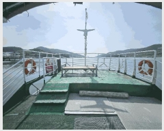  2025Ÿ21193           ڰ